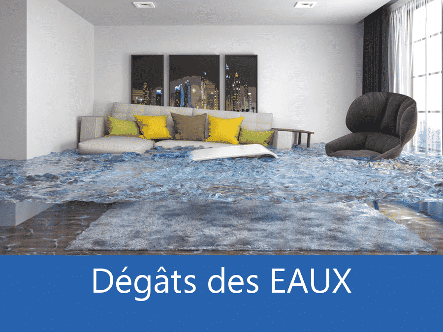 expertise humidité 53, expert humidité Laval, cause moisissure Mayenne, solutions hulidité La Mayenne,