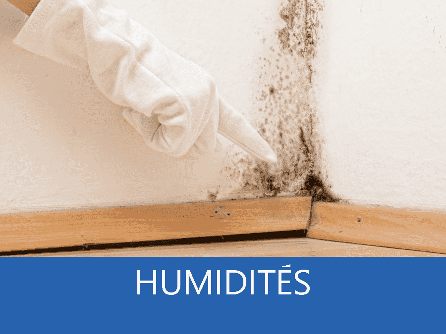 expertise humidité 53, expert humidité 53, cause moisissure Laval, solutions humidité Mayenne,